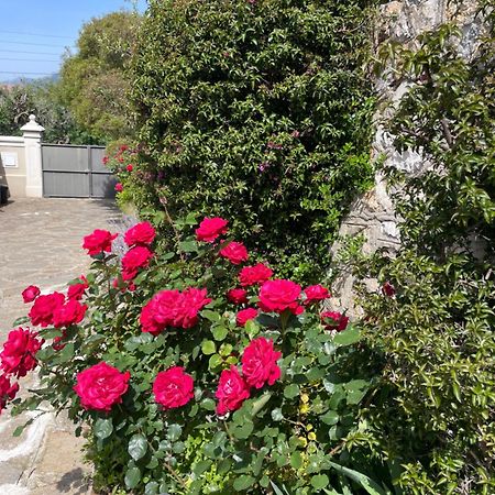 Appartamento Les Trèfles Hyères Esterno foto