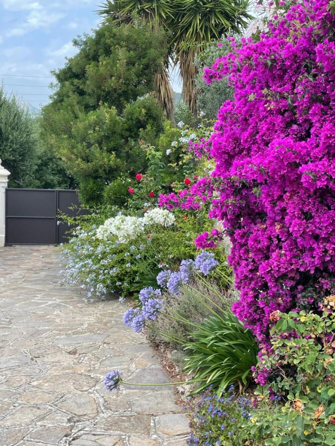 Appartamento Les Trèfles Hyères Esterno foto